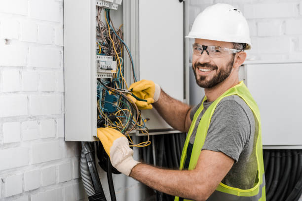 Best Local Electrician Companies  in Awendaw, SC