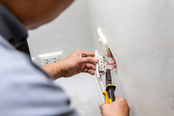 Best Electric Panel Repair  in Awendaw, SC